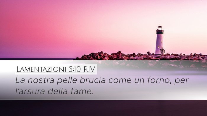 Lamentazioni 5:10 RIV Bible Verse Image