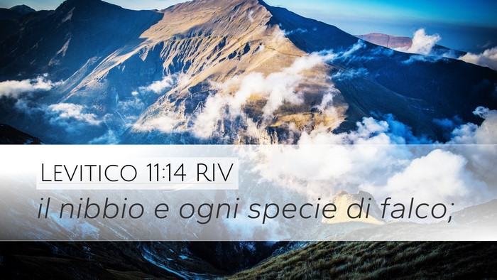 Levitico 11:14 RIV Desktop Wallpaper - il nibbio e ogni specie di - Desktop Bible Verse Wallpaper