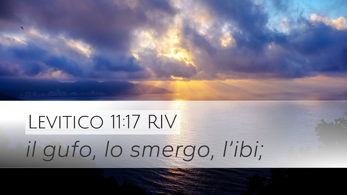 Levitico 11:17 RIV Desktop Wallpaper - il gufo, lo smergo, - Desktop Bible Verse Wallpaper