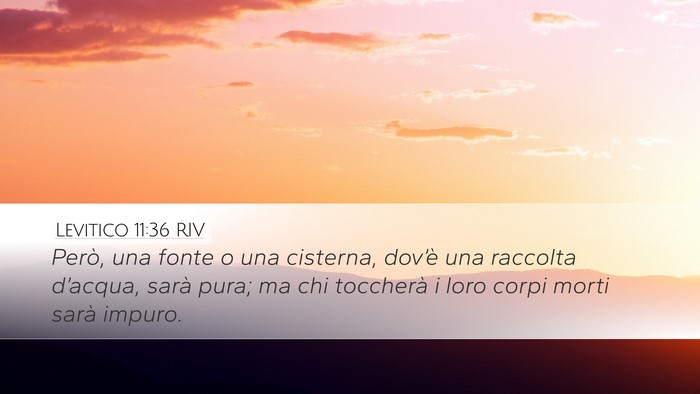 Levitico 11:36 RIV Desktop Wallpaper - Però, una fonte o una cisterna, dov’è una - Desktop Bible Verse Wallpaper