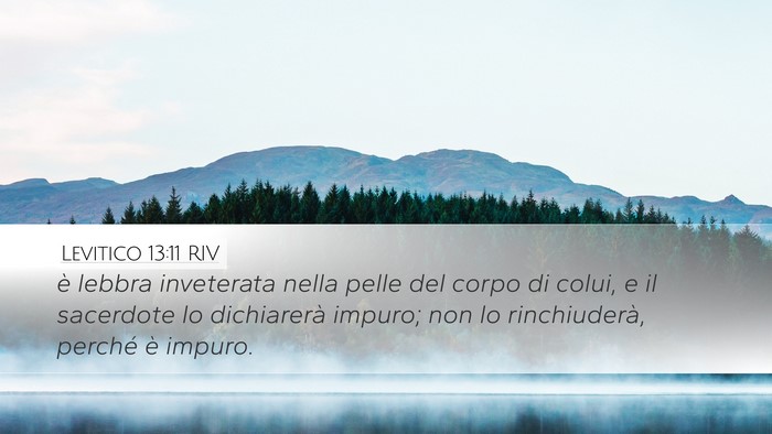Levitico 13:11 RIV Desktop Wallpaper - è lebbra inveterata nella pelle del corpo di - Desktop Bible Verse Wallpaper