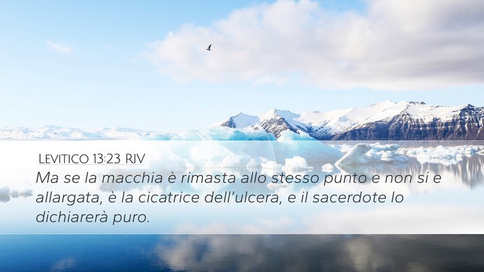 Levitico 13:23 RIV Bible Verse Image