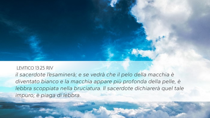 Levitico 13:25 RIV Desktop Wallpaper - il sacerdote l’esaminerà; e se vedrà che il - Desktop Bible Verse Wallpaper