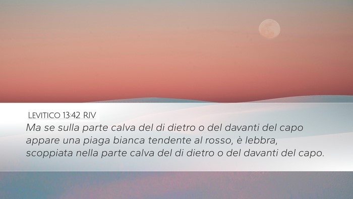 Levitico 13:42 RIV Desktop Wallpaper - Ma se sulla parte calva del di dietro o del - Desktop Bible Verse Wallpaper