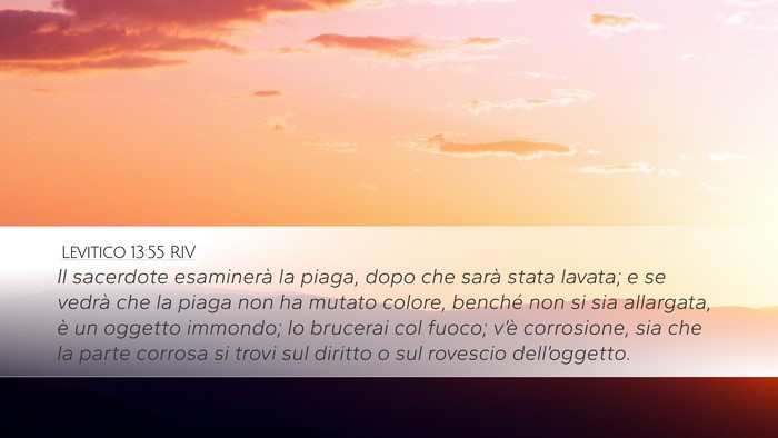 Levitico 13:55 RIV Desktop Wallpaper - Il sacerdote esaminerà la piaga, dopo che sarà - Desktop Bible Verse Wallpaper