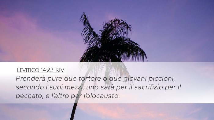 Levitico 14:22 RIV Bible Verse Image