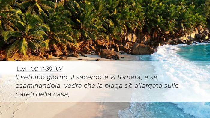 Levitico 14:39 RIV Desktop Wallpaper - Il settimo giorno, il sacerdote vi tornerà; e - Desktop Bible Verse Wallpaper