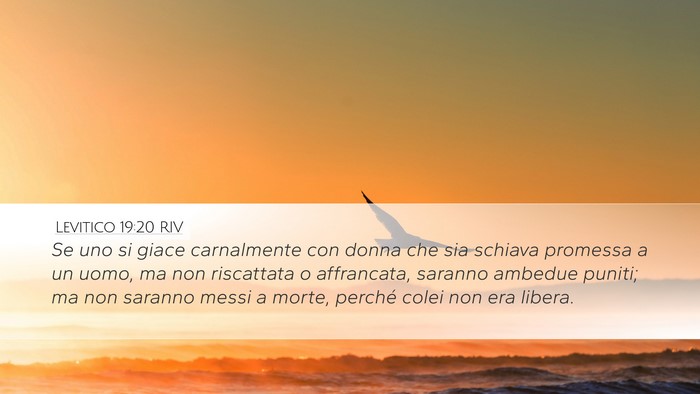 Levitico 19:20 RIV Bible Verse Image