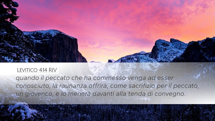 Levitico 4:14 RIV Bible Verse Image