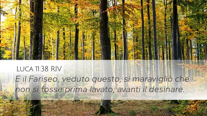 Luca 11:38 RIV Bible Verse Image
