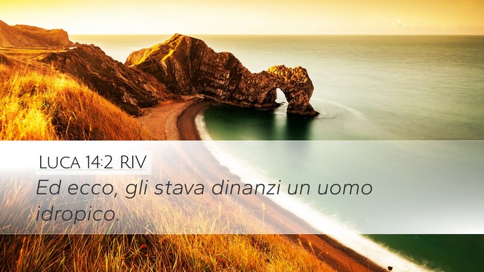 Luca 14:2 RIV Desktop Wallpaper - Ed ecco, gli stava dinanzi un uomo - Desktop Bible Verse Wallpaper