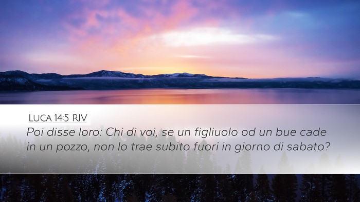 Luca 14:5 RIV Bible Verse Image
