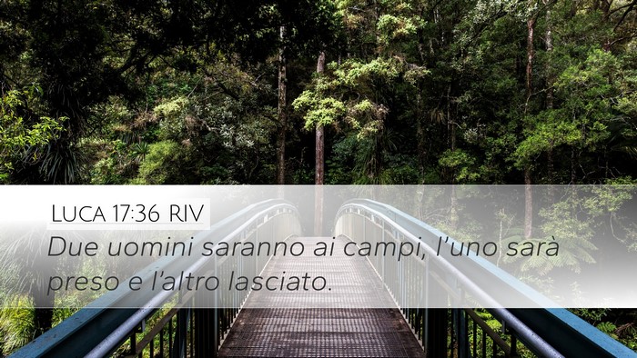 Luca 17:36 RIV Desktop Wallpaper - Due uomini saranno ai campi, l’uno sarà preso - Desktop Bible Verse Wallpaper