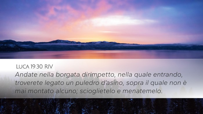Luca 19:30 RIV Bible Verse Image