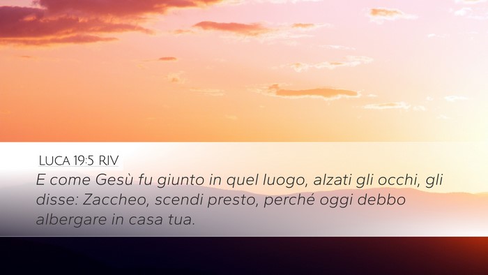 Luca 19:5 RIV Bible Verse Image