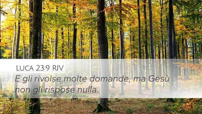 Luca 23:9 RIV Desktop Wallpaper - E gli rivolse molte domande, ma Gesù non gli - Desktop Bible Verse Wallpaper