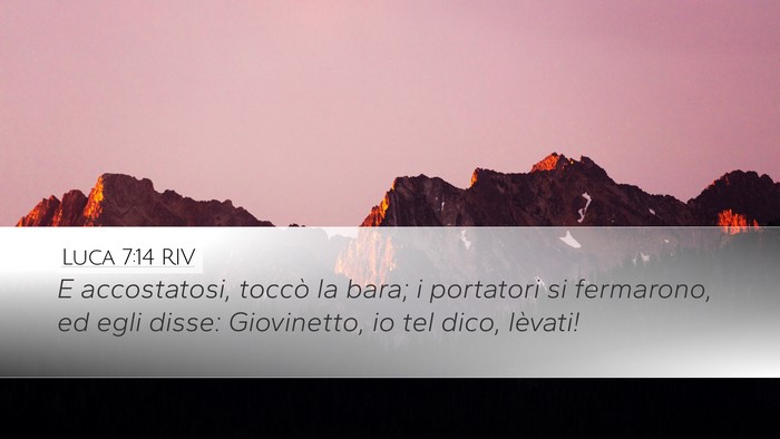 Luca 7:14 RIV Bible Verse Image