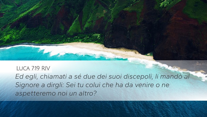 Luca 7:19 RIV Bible Verse Image