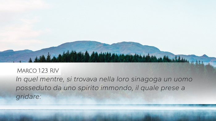 Marco 1:23 RIV Bible Verse Image