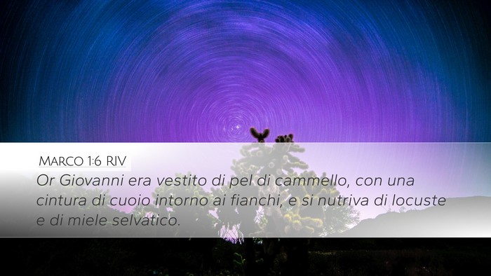 Marco 1:6 RIV Bible Verse Image