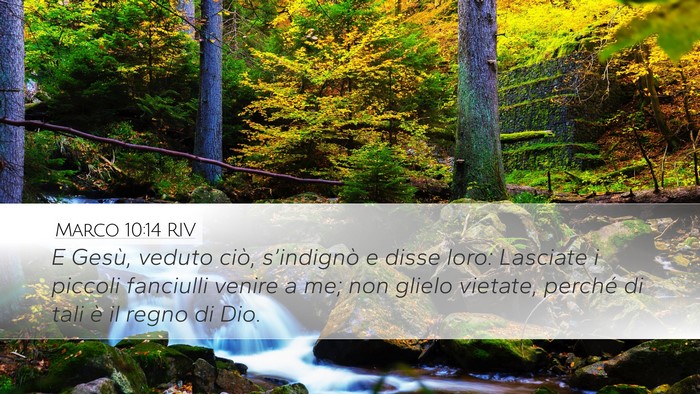 Marco 10:14 RIV Bible Verse Image