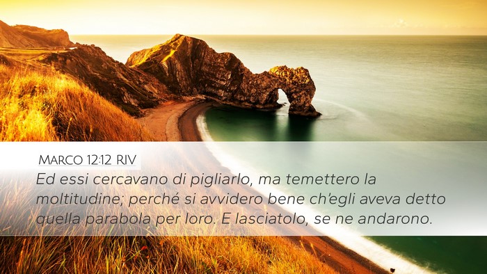 Marco 12:12 RIV Bible Verse Image