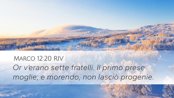 Marco 12:20 RIV Desktop Wallpaper - Or v’erano sette fratelli. Il primo prese - Desktop Bible Verse Wallpaper