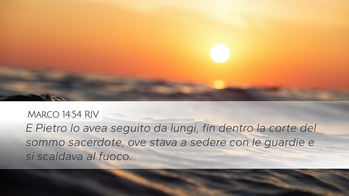 Marco 14:54 RIV Bible Verse Image