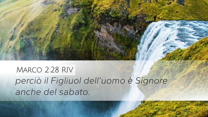 Marco 2:28 RIV Bible Verse Image