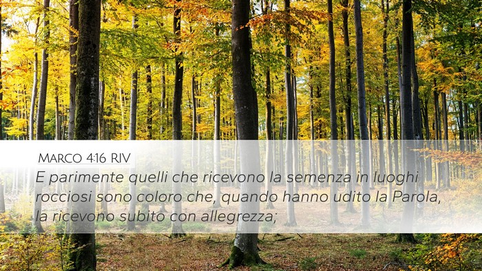 Marco 4:16 RIV Bible Verse Image