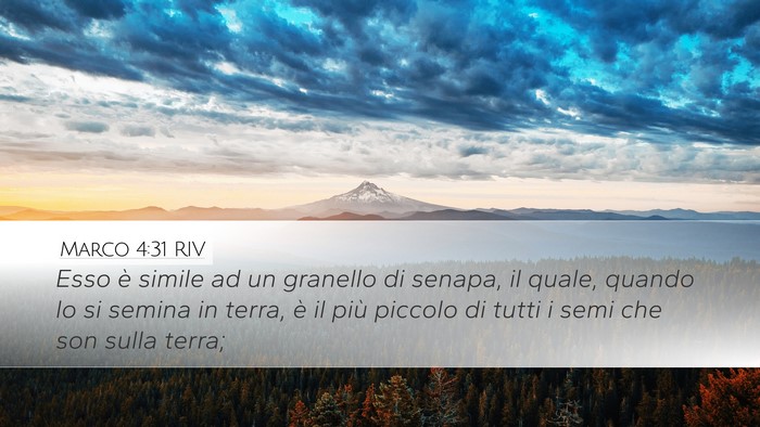 Marco 4:31 RIV Bible Verse Image