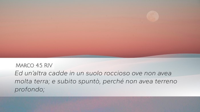 Marco 4:5 RIV Desktop Wallpaper - Ed un’altra cadde in un suolo roccioso ove non - Desktop Bible Verse Wallpaper