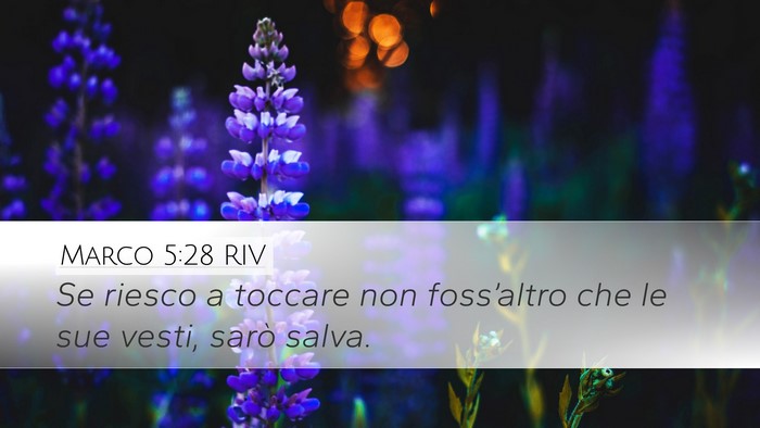 Marco 5:28 RIV Desktop Wallpaper - Se riesco a toccare non foss’altro che le sue - Desktop Bible Verse Wallpaper