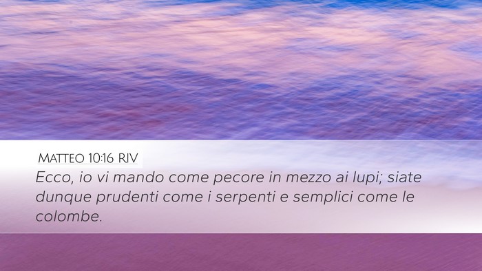 Matteo 10:16 RIV Bible Verse Image