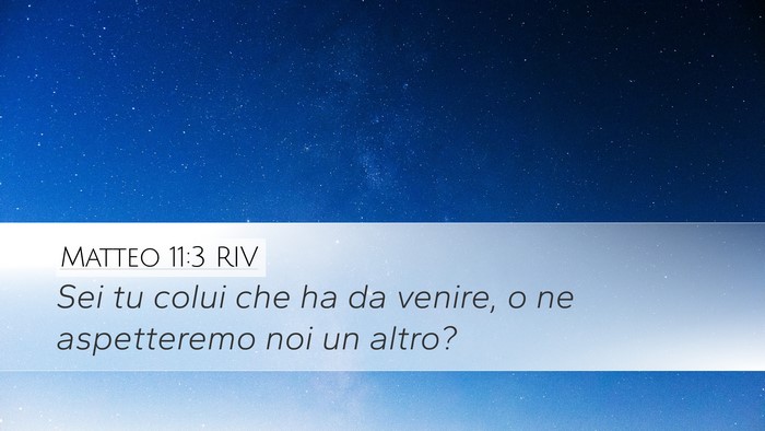 Matteo 11:3 RIV Bible Verse Image