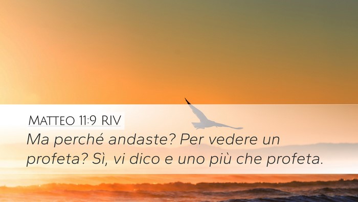 Matteo 11:9 RIV Bible Verse Image
