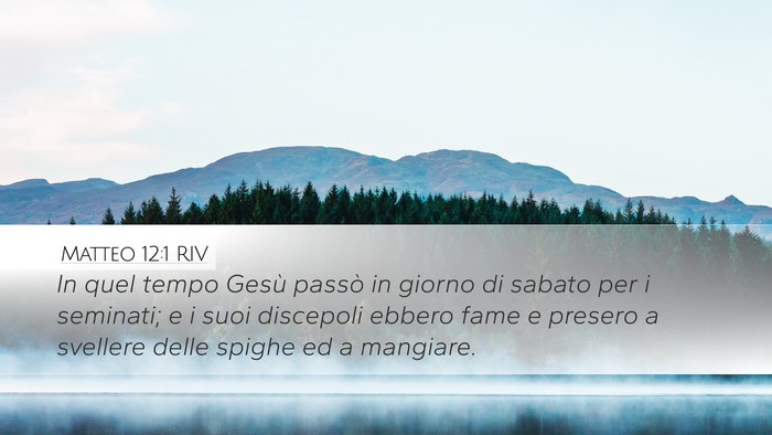 Matteo 12:1 RIV Desktop Wallpaper - In quel tempo Gesù passò in giorno di sabato - Desktop Bible Verse Wallpaper
