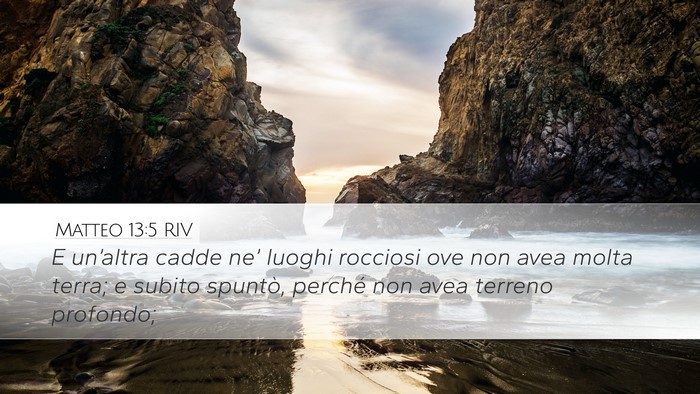 Matteo 13:5 RIV Desktop Wallpaper - E un’altra cadde ne’ luoghi rocciosi ove non - Desktop Bible Verse Wallpaper