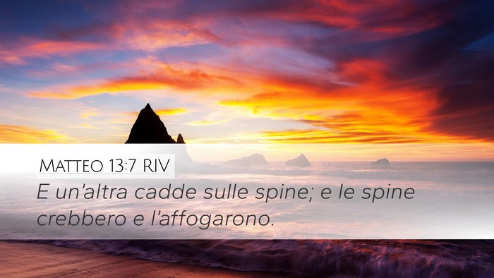 Matteo 13:7 RIV Desktop Wallpaper - E un’altra cadde sulle spine; e le spine - Desktop Bible Verse Wallpaper
