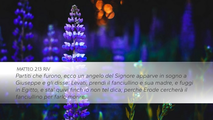 Matteo 2:13 RIV Desktop Wallpaper - Partiti che furono, ecco un angelo del Signore - Desktop Bible Verse Wallpaper