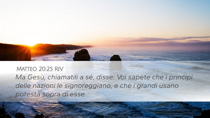 Matteo 20:25 RIV Bible Verse Image