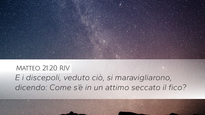 Matteo 21:20 RIV Desktop Wallpaper - E i discepoli, veduto ciò, si maravigliarono, - Desktop Bible Verse Wallpaper