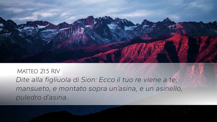 Matteo 21:5 RIV Bible Verse Image
