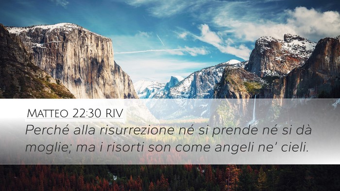 Matteo 22:30 RIV Bible Verse Image