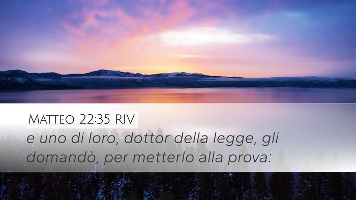 Matteo 22:35 RIV Bible Verse Image