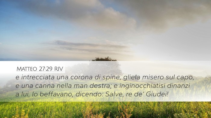 Matteo 27:29 RIV Bible Verse Image