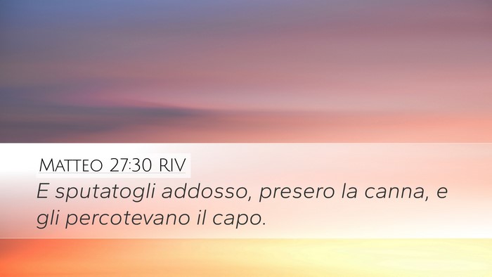 Matteo 27:30 RIV Bible Verse Image