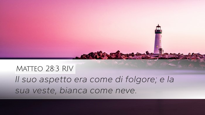 Matteo 28:3 RIV Bible Verse Image