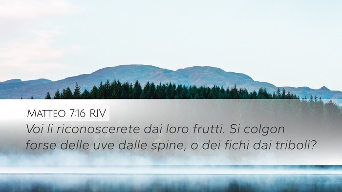 Matteo 7:16 RIV Bible Verse Image