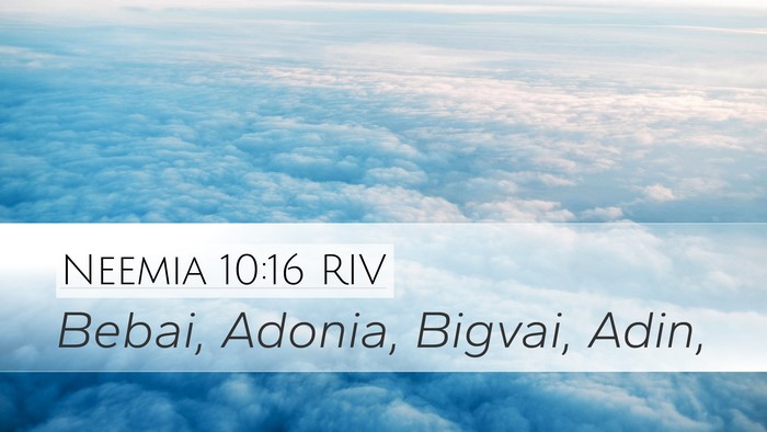 Neemia 10:16 RIV Desktop Wallpaper - Bebai, Adonia, Bigvai, - Desktop Bible Verse Wallpaper